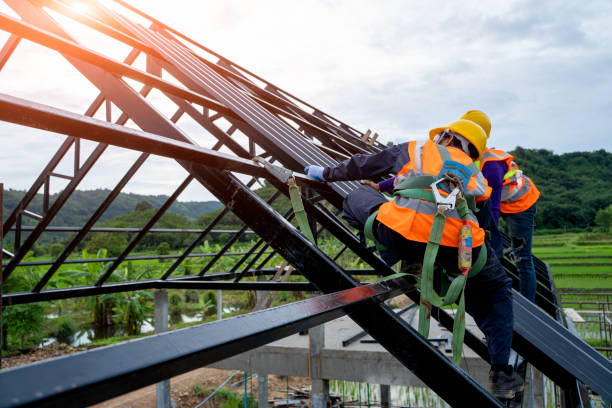 Best Storm Damage Roof Repair  in Plains, MT
