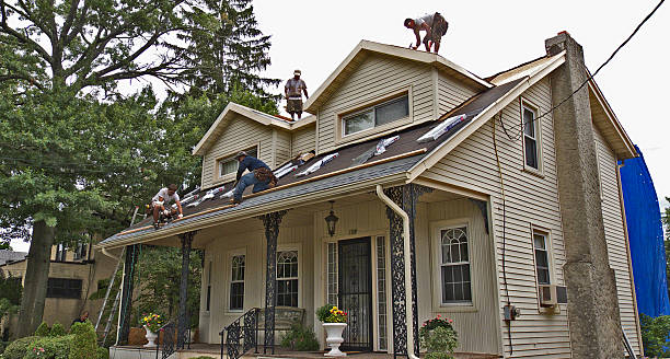Best Roof Replacement Cost  in Plains, MT